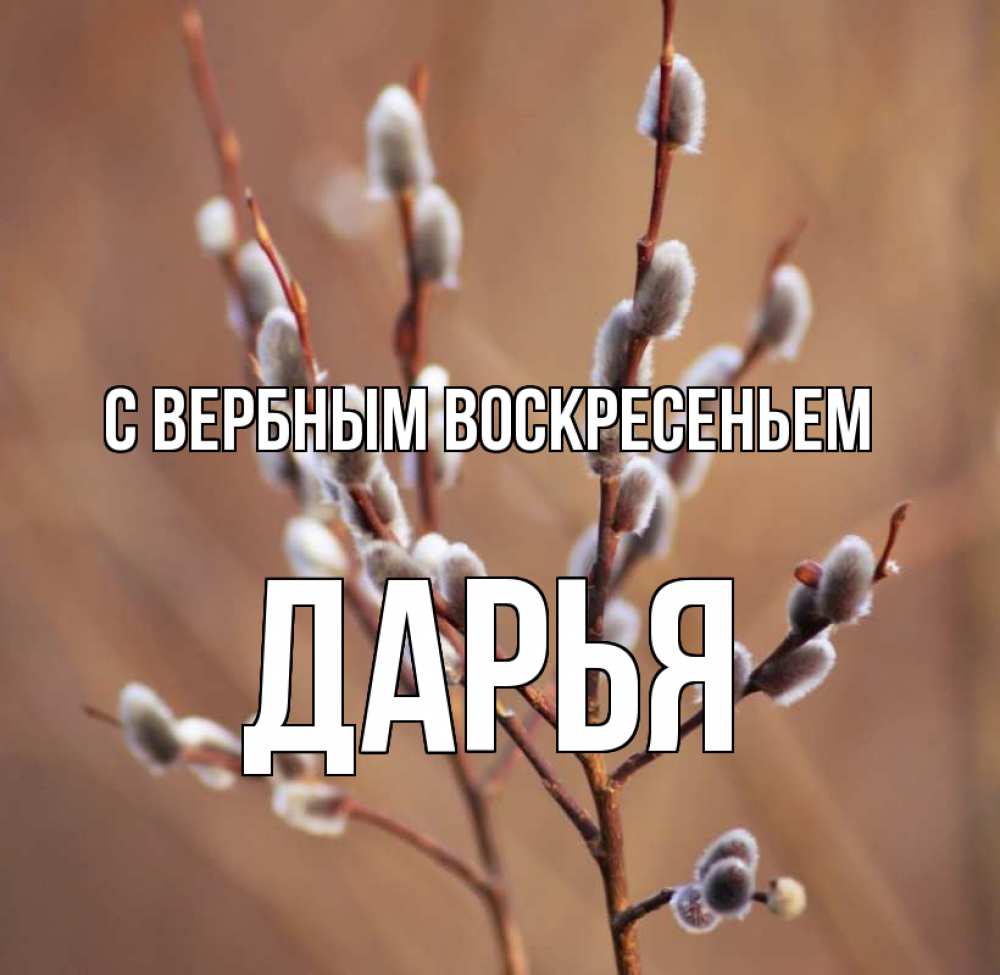 Открытка на каждый день с именем, Дарья С вербным воскресеньем верба Прикольная открытка с пожеланием онлайн скачать бесплатно 