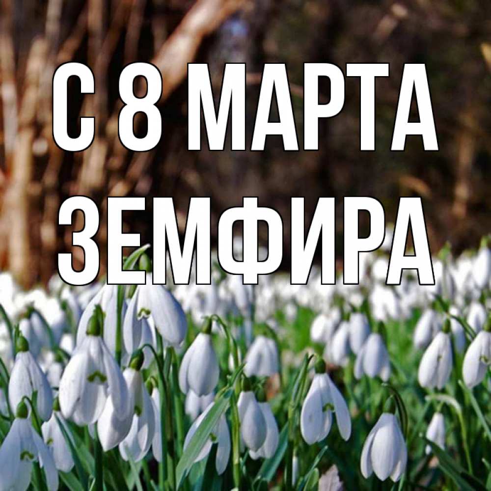 Открытка на каждый день с именем, Земфира С 8 марта с подснежниками 1 Прикольная открытка с пожеланием онлайн скачать бесплатно 