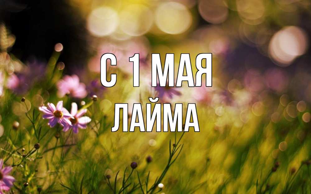 Открытка на каждый день с именем, Лайма С 1 мая С 1 мая Прикольная открытка с пожеланием онлайн скачать бесплатно 