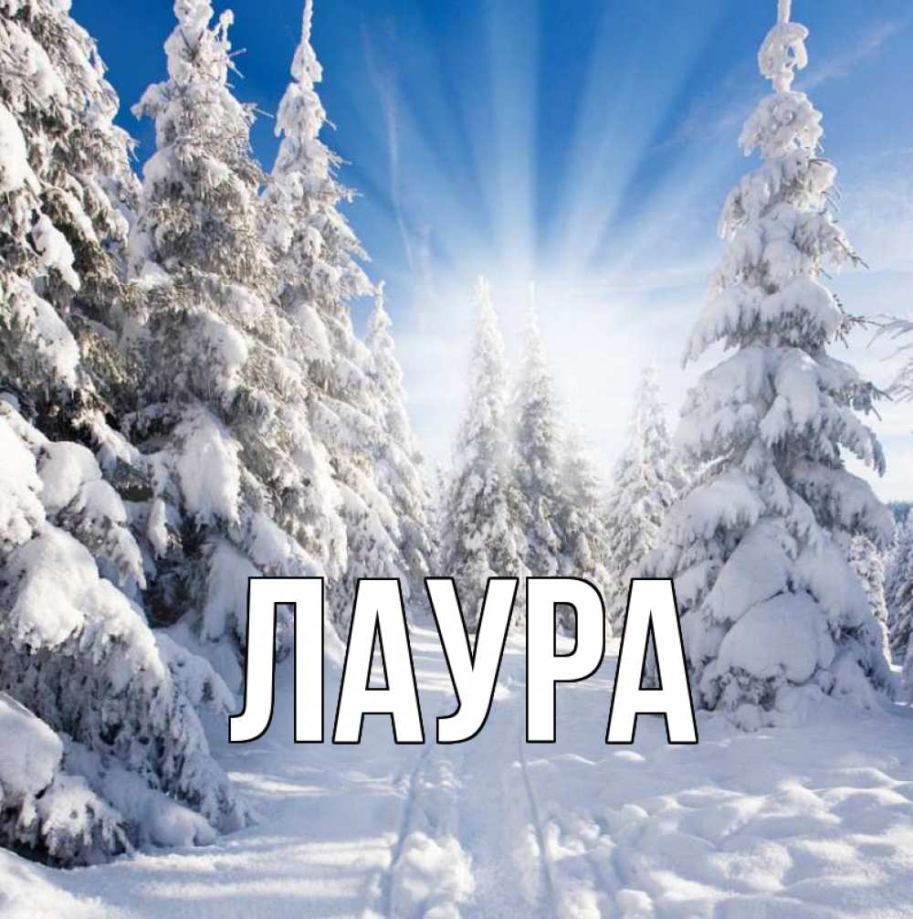 Открытка на каждый день с именем, Лаура Главная зима, лес Прикольная открытка с пожеланием онлайн скачать бесплатно 
