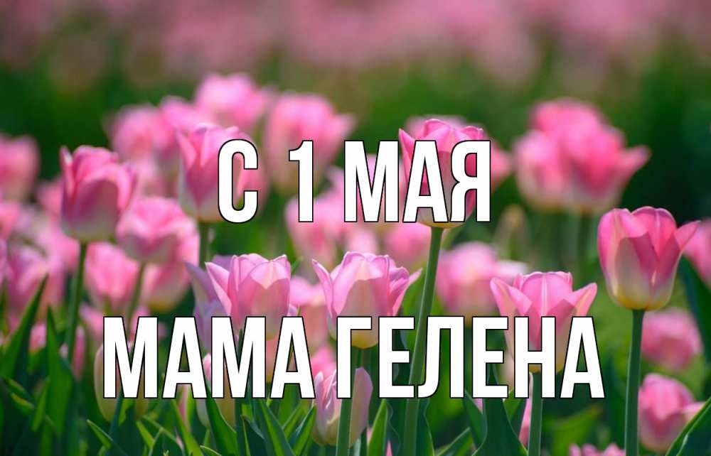 Открытка на каждый день с именем, Мама-Гелена С 1 мая С 1 мая Прикольная открытка с пожеланием онлайн скачать бесплатно 