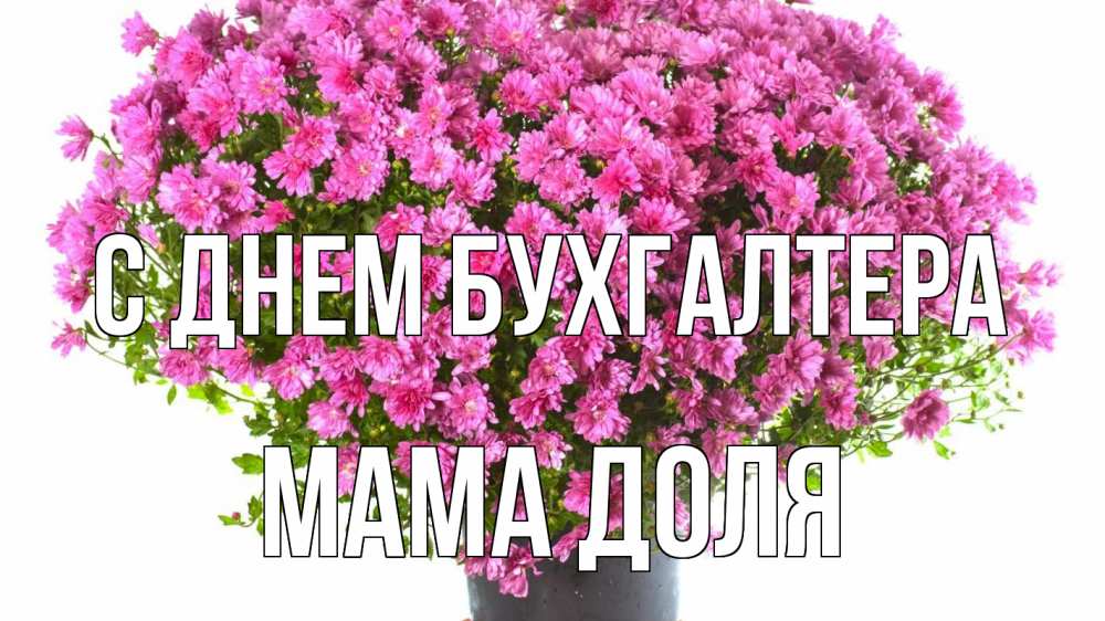 Открытка на каждый день с именем, Мама-Доля С днем бухгалтера с днем бухгалтера Прикольная открытка с пожеланием онлайн скачать бесплатно 