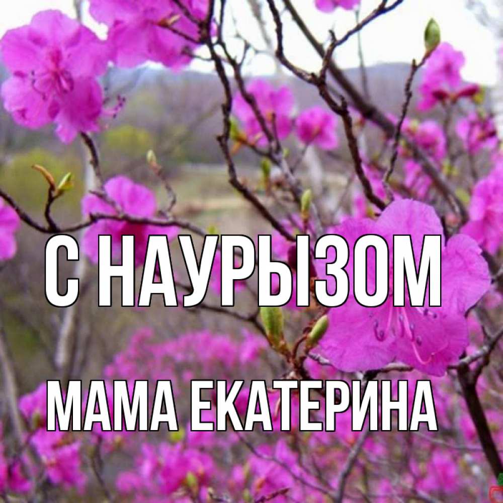 Открытка на каждый день с именем, Мама-Екатерина С наурызом праздник весны наурыз Прикольная открытка с пожеланием онлайн скачать бесплатно 