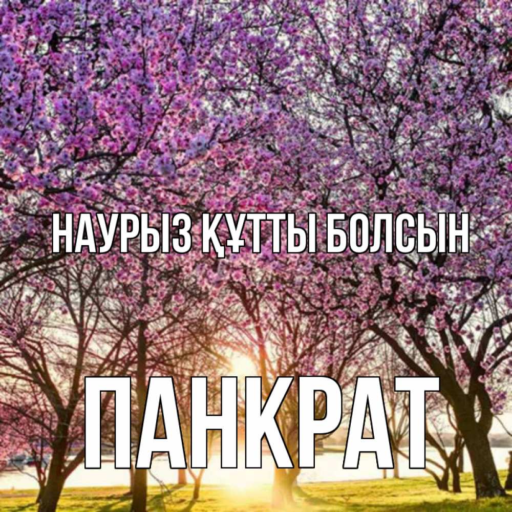Открытка на каждый день с именем, Панкрат Наурыз құтты болсын наурыз Прикольная открытка с пожеланием онлайн скачать бесплатно 