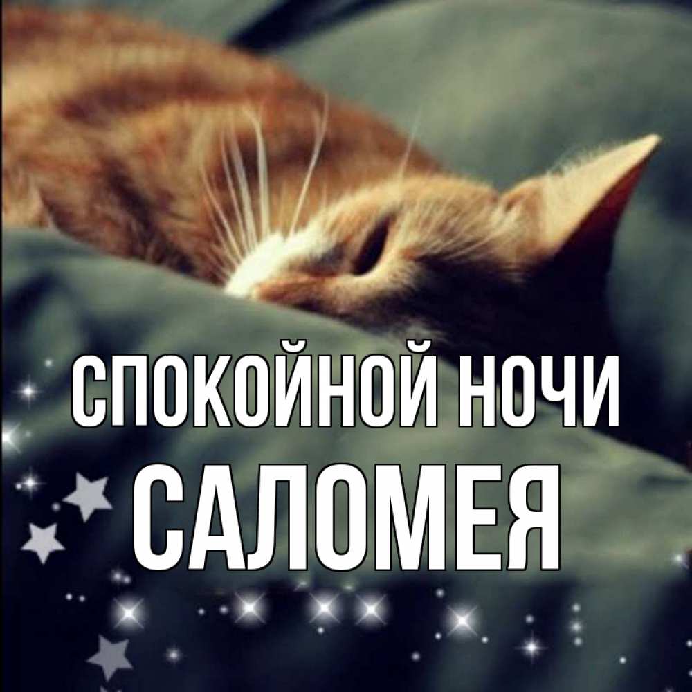 Открытка на каждый день с именем, Саломея Спокойной ночи кроватка Прикольная открытка с пожеланием онлайн скачать бесплатно 
