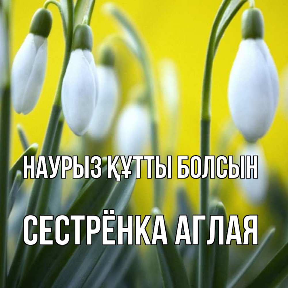 Открытка на каждый день с именем, Сестрёнка-Аглая Наурыз құтты болсын весенние цветы Прикольная открытка с пожеланием онлайн скачать бесплатно 