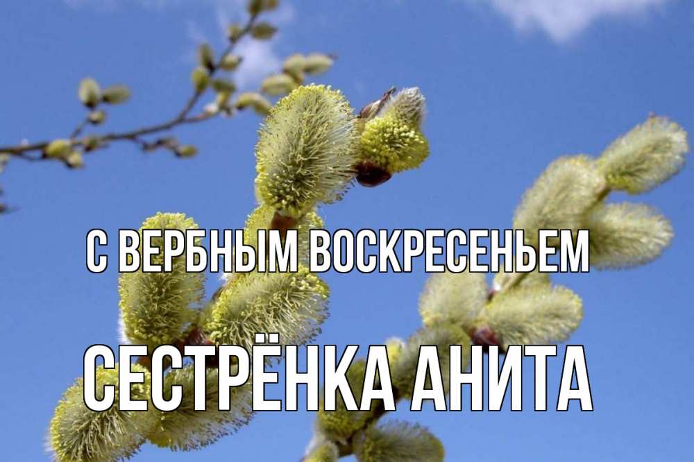 Открытка на каждый день с именем, Сестрёнка-Анита С вербным воскресеньем верба Прикольная открытка с пожеланием онлайн скачать бесплатно 