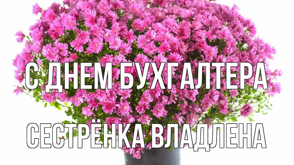 Открытка на каждый день с именем, Сестрёнка-Владлена С днем бухгалтера с днем бухгалтера Прикольная открытка с пожеланием онлайн скачать бесплатно 