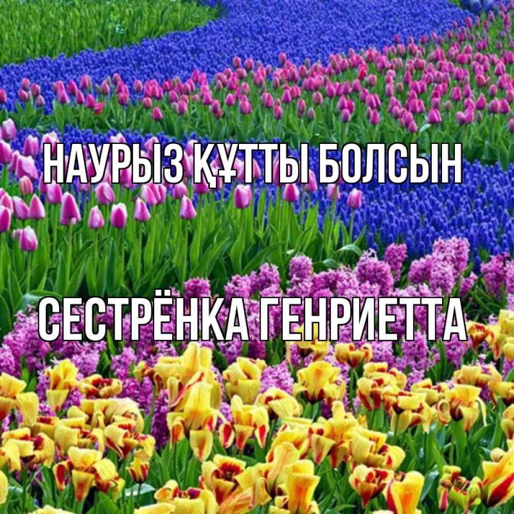 Открытка на каждый день с именем, Сестрёнка-Генриетта Наурыз құтты болсын цветы Прикольная открытка с пожеланием онлайн скачать бесплатно 