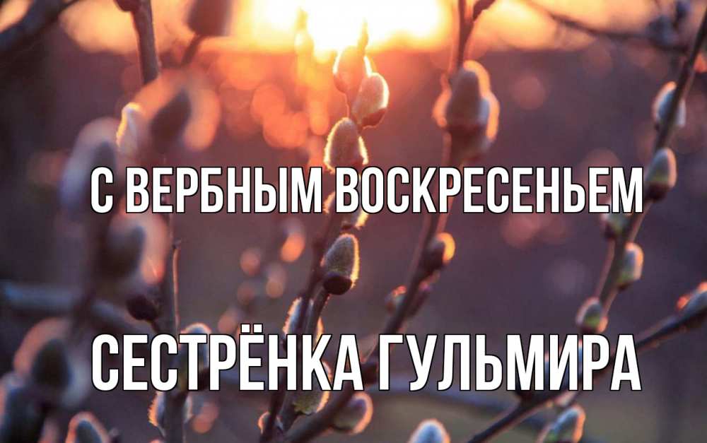Открытка на каждый день с именем, Сестрёнка-Гульмира С вербным воскресеньем верба Прикольная открытка с пожеланием онлайн скачать бесплатно 