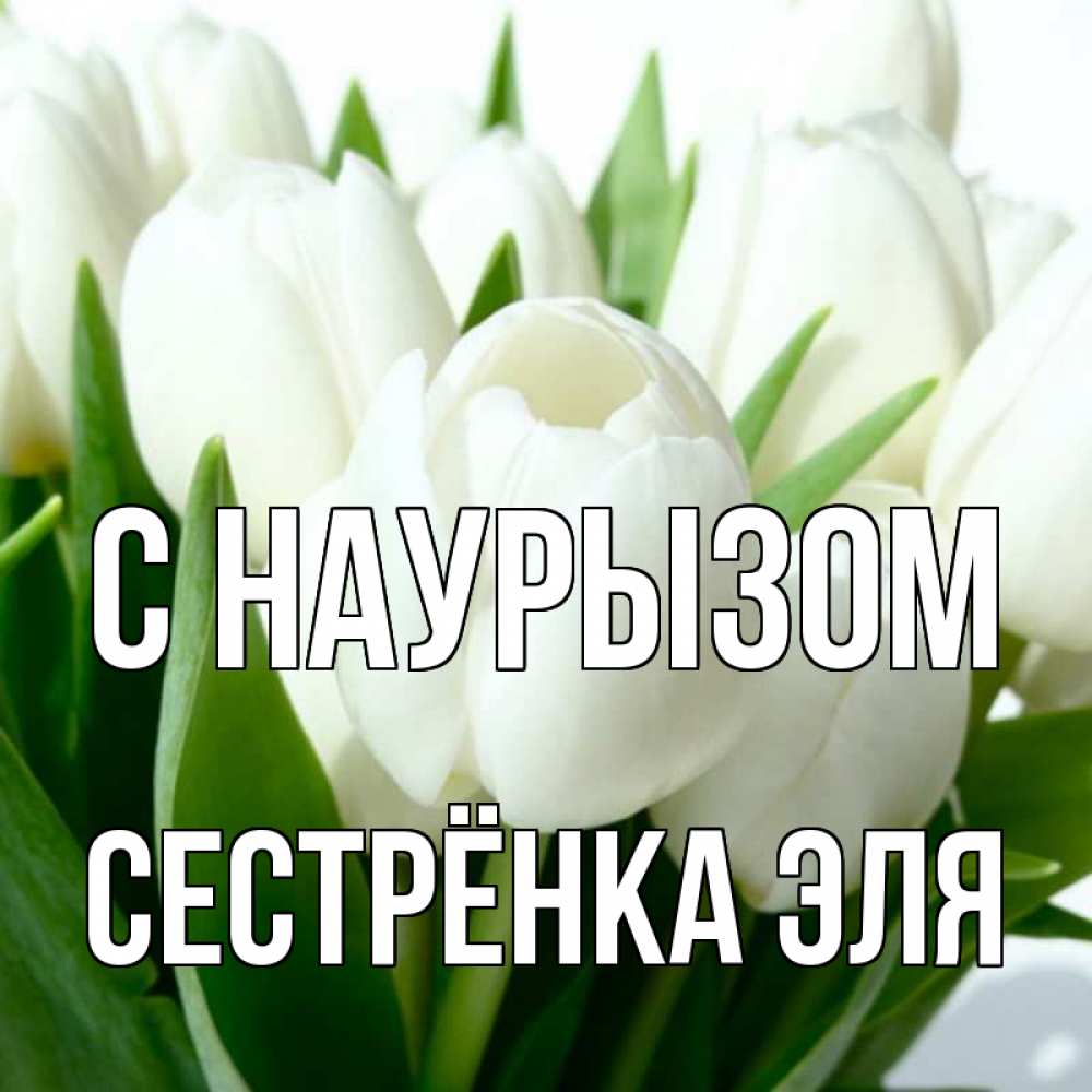 Открытка на каждый день с именем, Сестрёнка-Эля С наурызом цветы Прикольная открытка с пожеланием онлайн скачать бесплатно 