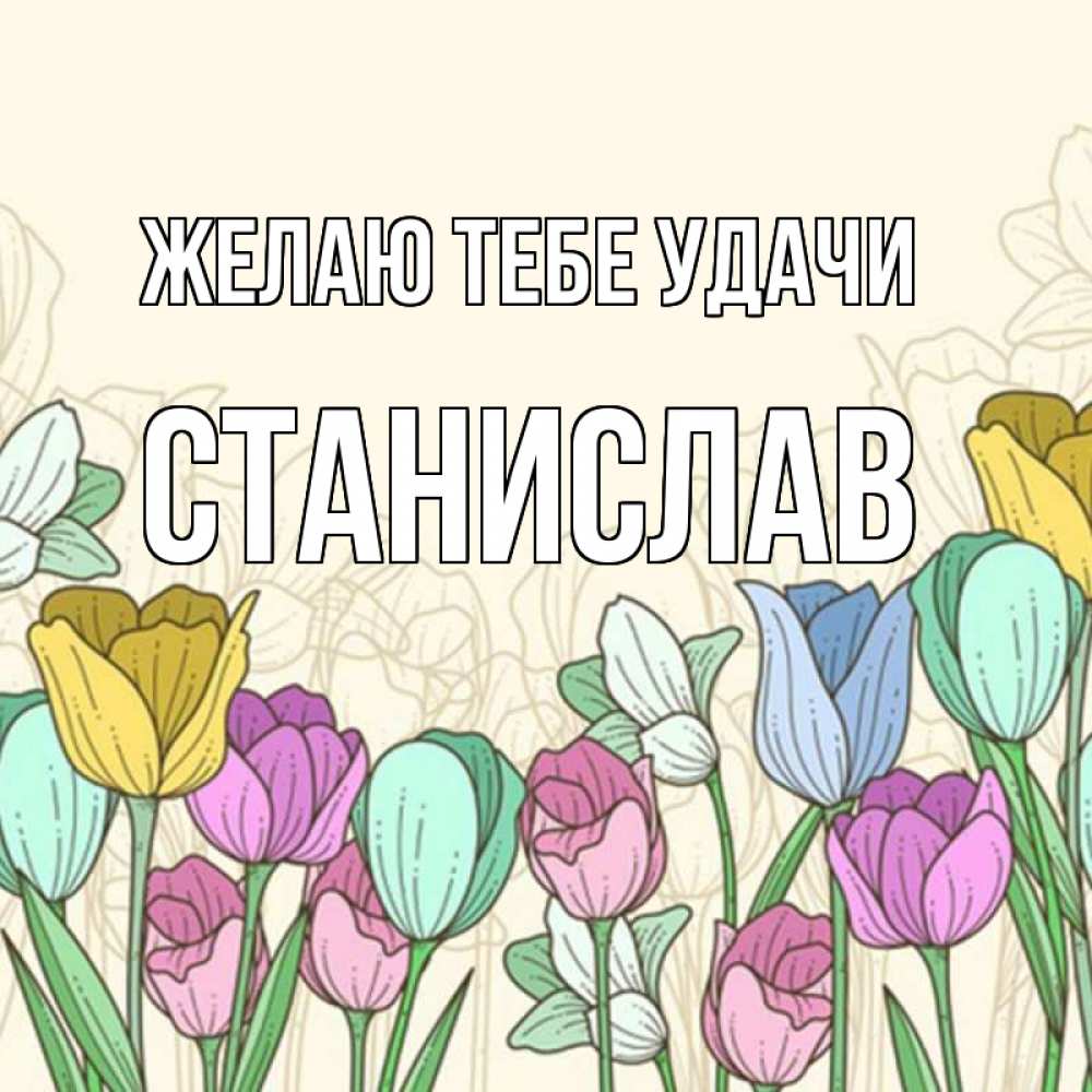 Открытка на каждый день с именем, Станислав Желаю тебе удачи тюльпаны Прикольная открытка с пожеланием онлайн скачать бесплатно 