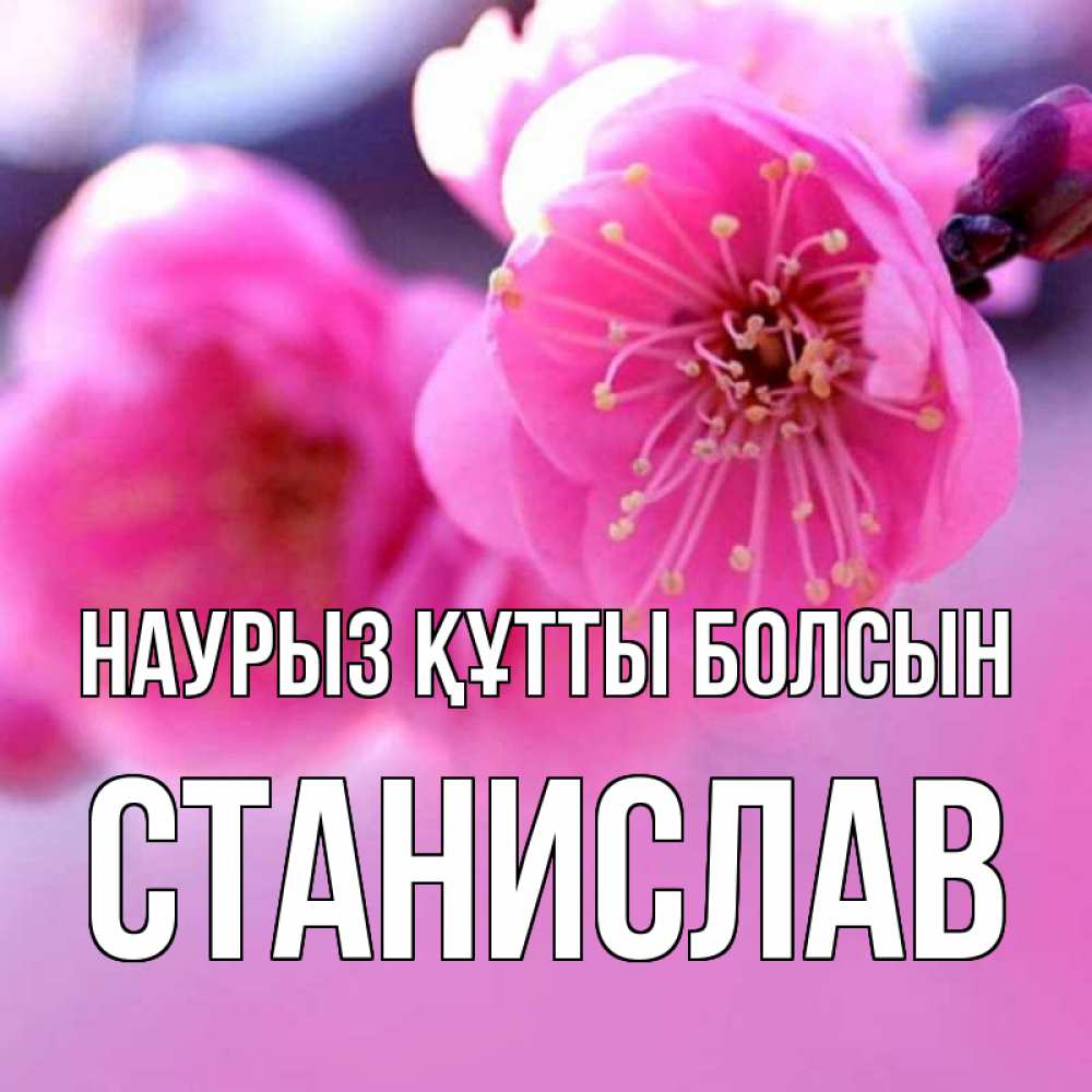 Открытка на каждый день с именем, Станислав Наурыз құтты болсын наурыз мейрам Прикольная открытка с пожеланием онлайн скачать бесплатно 