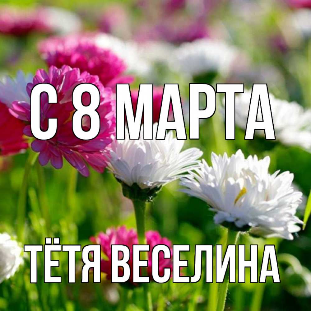 Открытка на каждый день с именем, Тётя-Веселина С 8 марта международный женский день 1 Прикольная открытка с пожеланием онлайн скачать бесплатно 