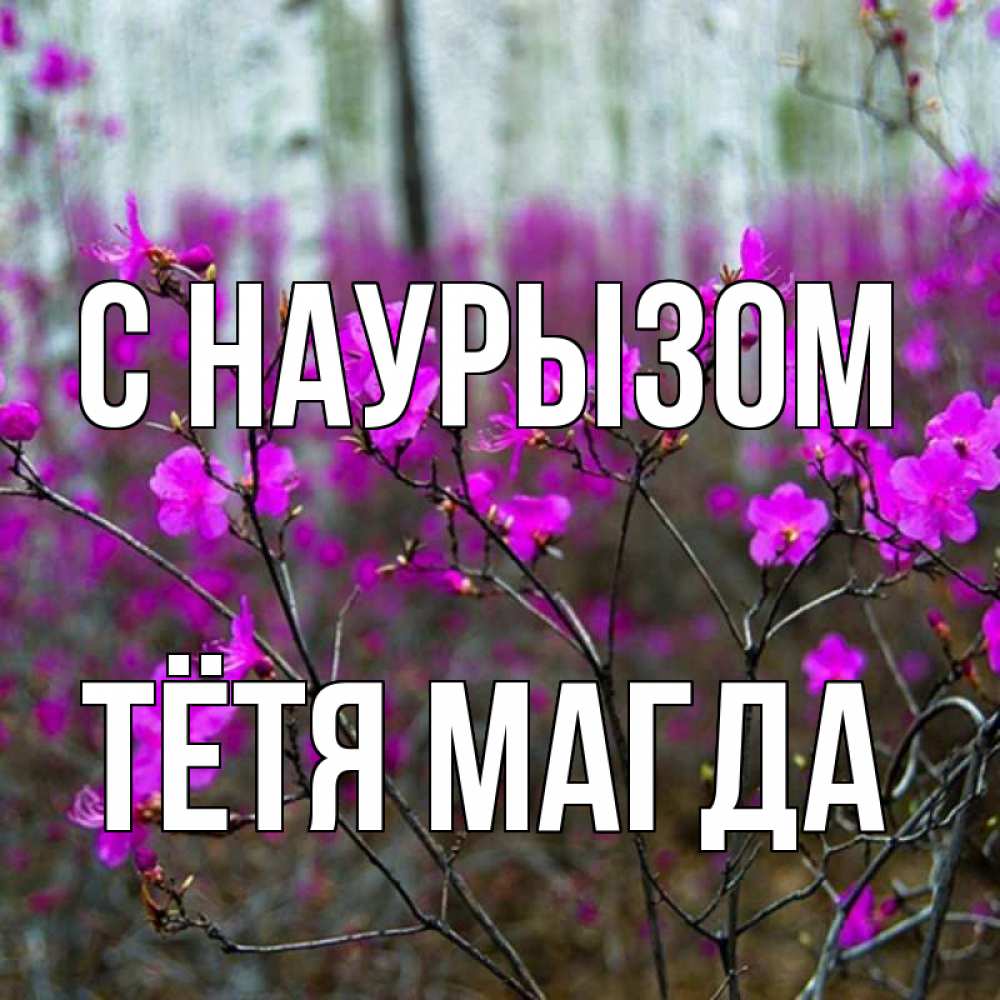 Открытка на каждый день с именем, Тётя-Магда С наурызом дикие цветы Прикольная открытка с пожеланием онлайн скачать бесплатно 