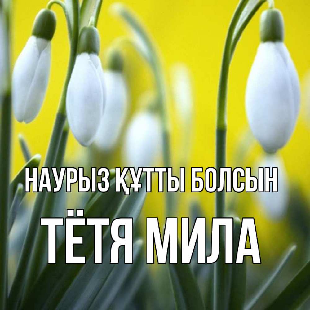 Открытка на каждый день с именем, Тётя-Мила Наурыз құтты болсын весенние цветы Прикольная открытка с пожеланием онлайн скачать бесплатно 