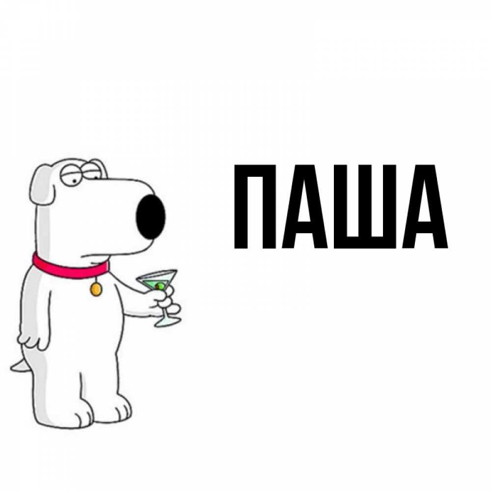 Открытка на каждый день с именем, паша Главная песик с оливками Прикольная открытка с пожеланием онлайн скачать бесплатно 