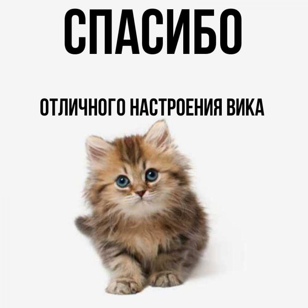 Спасибо вика картинки
