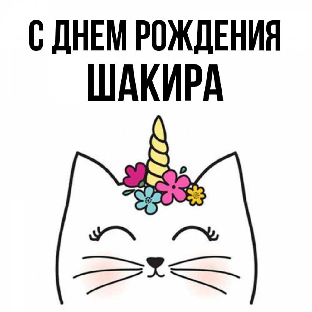 Шакир с днем рождения картинки