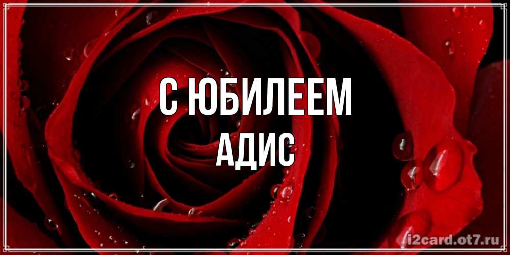 Открытка на каждый день с именем, Адис С юбилеем крупная бордовая роза Прикольная открытка с пожеланием онлайн скачать бесплатно 