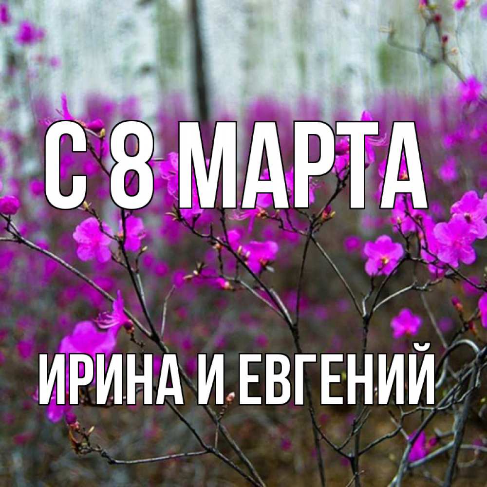 Открытка на каждый день с именем, Ирина-и-Евгений С 8 марта дикие цветы Прикольная открытка с пожеланием онлайн скачать бесплатно 