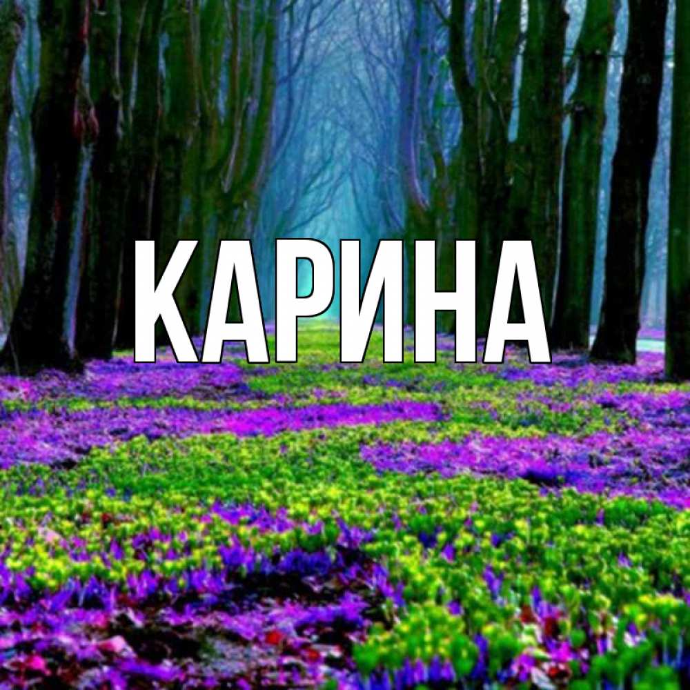 Открытка на каждый день с именем, Карина Главная фиолетовые цветы в лесу 1 Прикольная открытка с пожеланием онлайн скачать бесплатно 