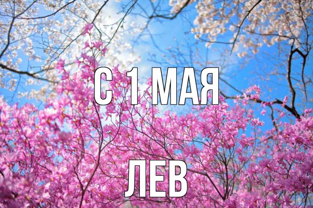 Открытка на каждый день с именем, Лев С 1 мая С 1 мая Прикольная открытка с пожеланием онлайн скачать бесплатно 