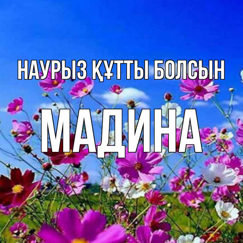 Открытка на каждый день с именем, Мадина Наурыз құтты болсын цветы Прикольная открытка с пожеланием онлайн скачать бесплатно 