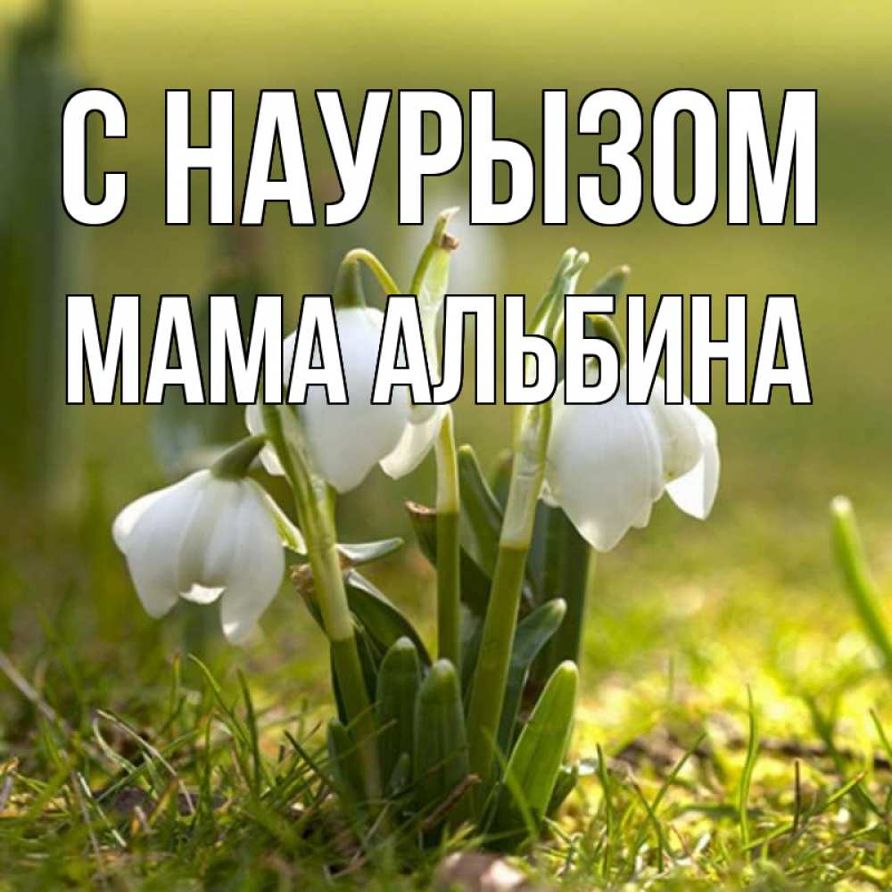 Открытка на каждый день с именем, Мама-Альбина С наурызом ранние цветы 2 Прикольная открытка с пожеланием онлайн скачать бесплатно 