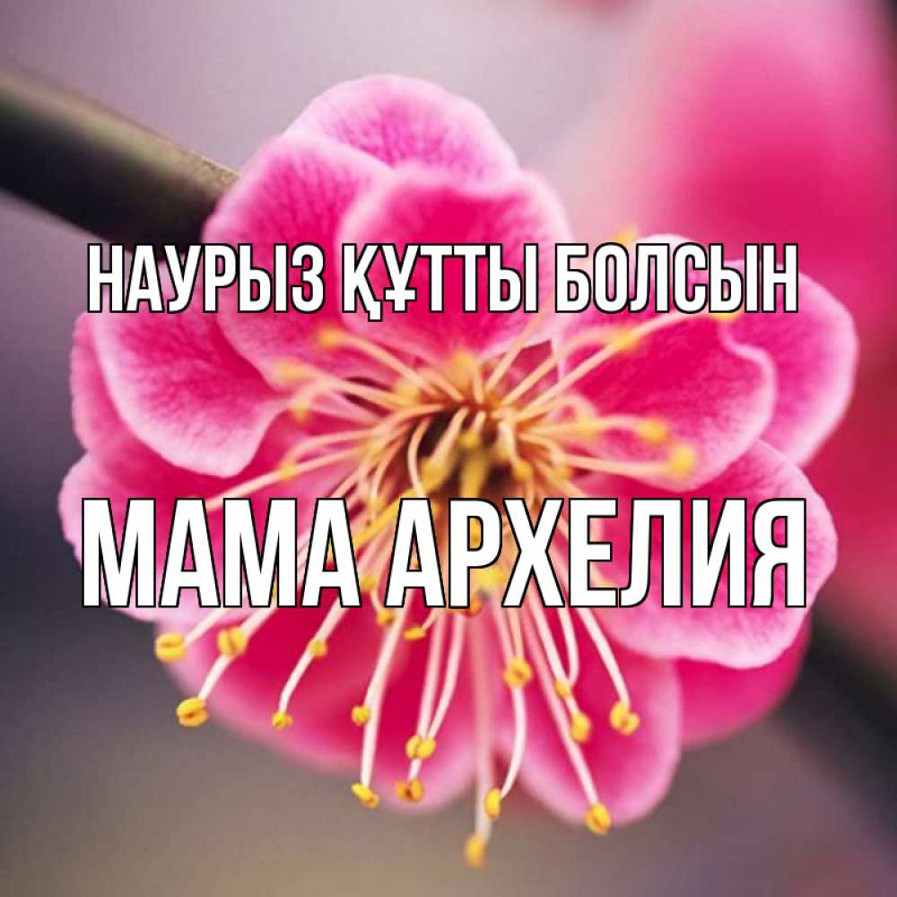 Открытка на каждый день с именем, Мама-Архелия Наурыз құтты болсын цветы Прикольная открытка с пожеланием онлайн скачать бесплатно 