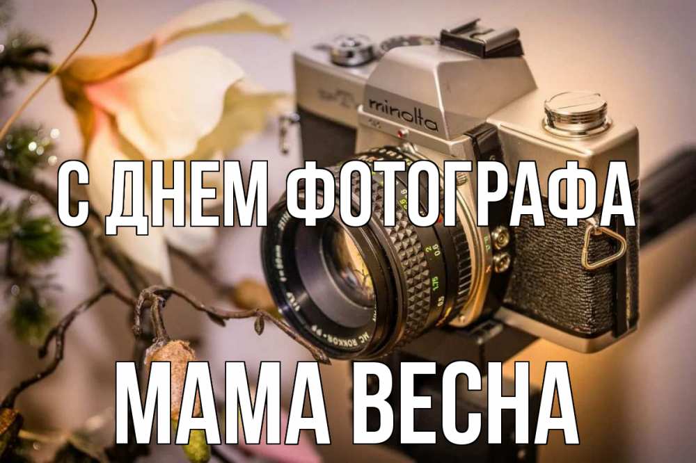 Открытка на каждый день с именем, Мама-Весна С днем фотографа с днем фотографа 1 Прикольная открытка с пожеланием онлайн скачать бесплатно 