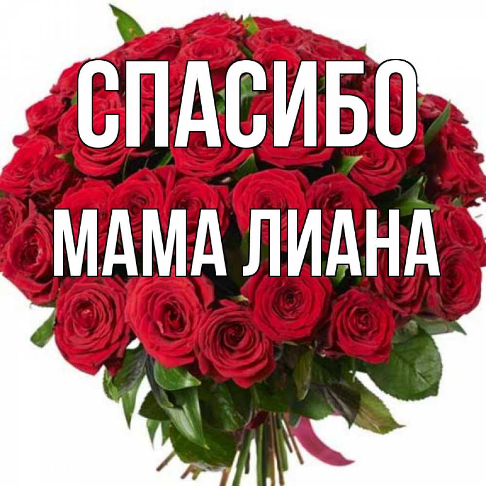 Открытка на каждый день с именем, Мама-Лиана Спасибо букет красных роз Прикольная открытка с пожеланием онлайн скачать бесплатно 