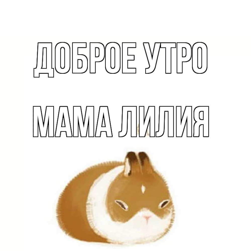 Открытка на каждый день с именем, Мама-Лилия Доброе утро хорошего утречка Прикольная открытка с пожеланием онлайн скачать бесплатно 