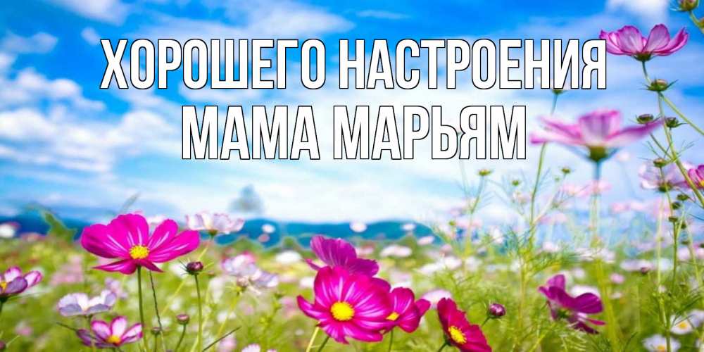 Открытка на каждый день с именем, Мама-Марьям Хорошего настроения поле цветов Прикольная открытка с пожеланием онлайн скачать бесплатно 