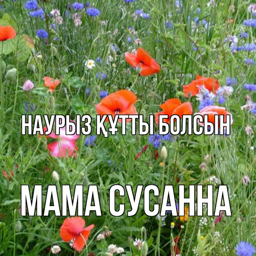 Открытка на каждый день с именем, Мама-Сусанна Наурыз құтты болсын наурыз  4 Прикольная открытка с пожеланием онлайн скачать бесплатно 