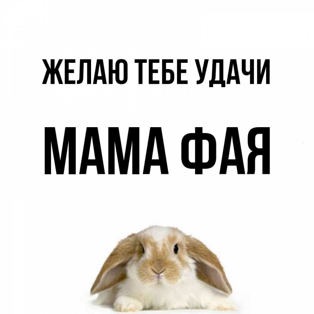 Открытка на каждый день с именем, Мама-Фая Желаю тебе удачи открытки с произвольным текстом который можно вставить в открытку и создать ее самостоятельно бесплатно онлайн Прикольная открытка с пожеланием онлайн скачать бесплатно 
