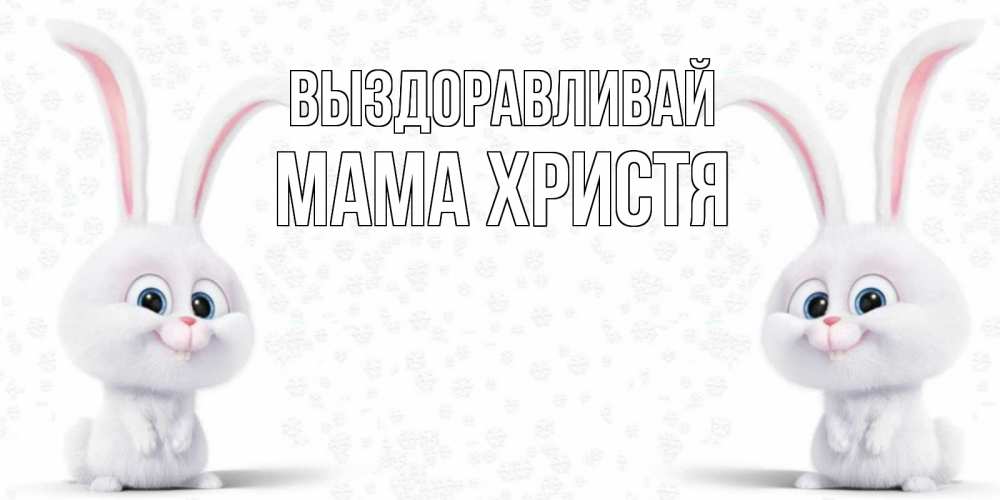 Открытка на каждый день с именем, Мама-Христя Выздоравливай не болей с зайцем Прикольная открытка с пожеланием онлайн скачать бесплатно 