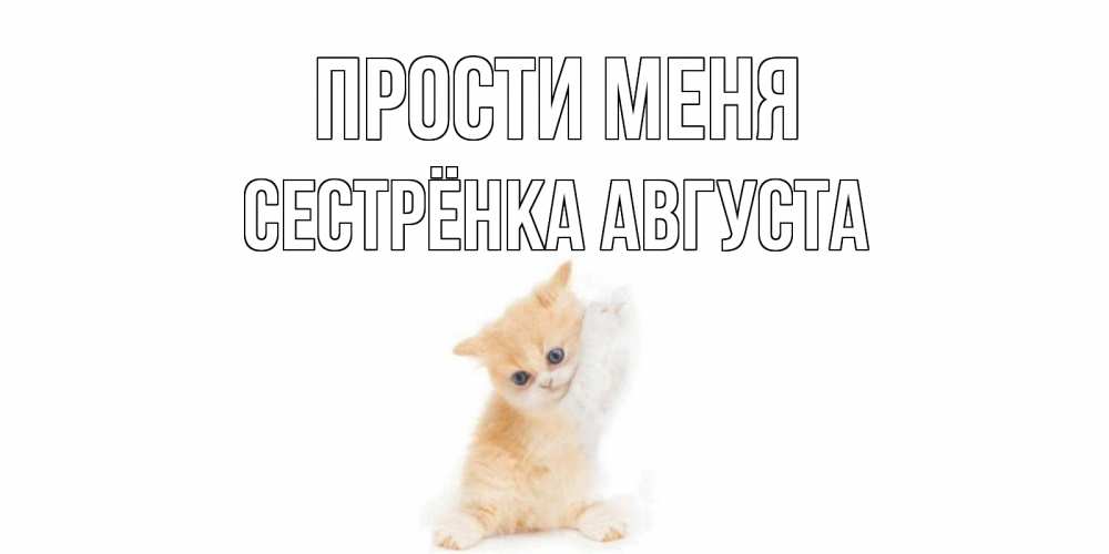 Открытка на каждый день с именем, Сестрёнка-Августа Прости меня кот Прикольная открытка с пожеланием онлайн скачать бесплатно 