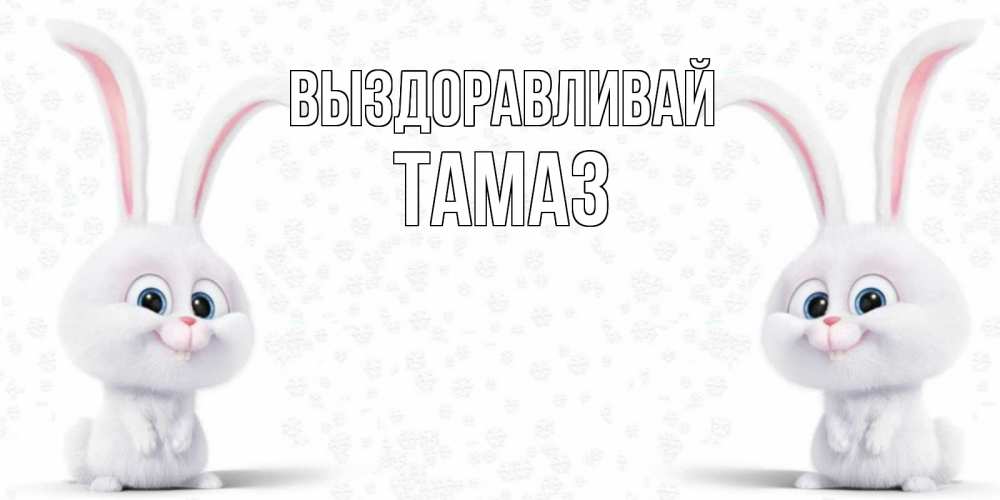 Открытка на каждый день с именем, Тамаз Выздоравливай не болей с зайцем Прикольная открытка с пожеланием онлайн скачать бесплатно 