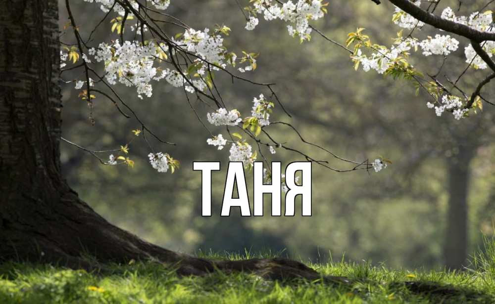 Открытка на каждый день с именем, Таня Главная С 1 мая Прикольная открытка с пожеланием онлайн скачать бесплатно 