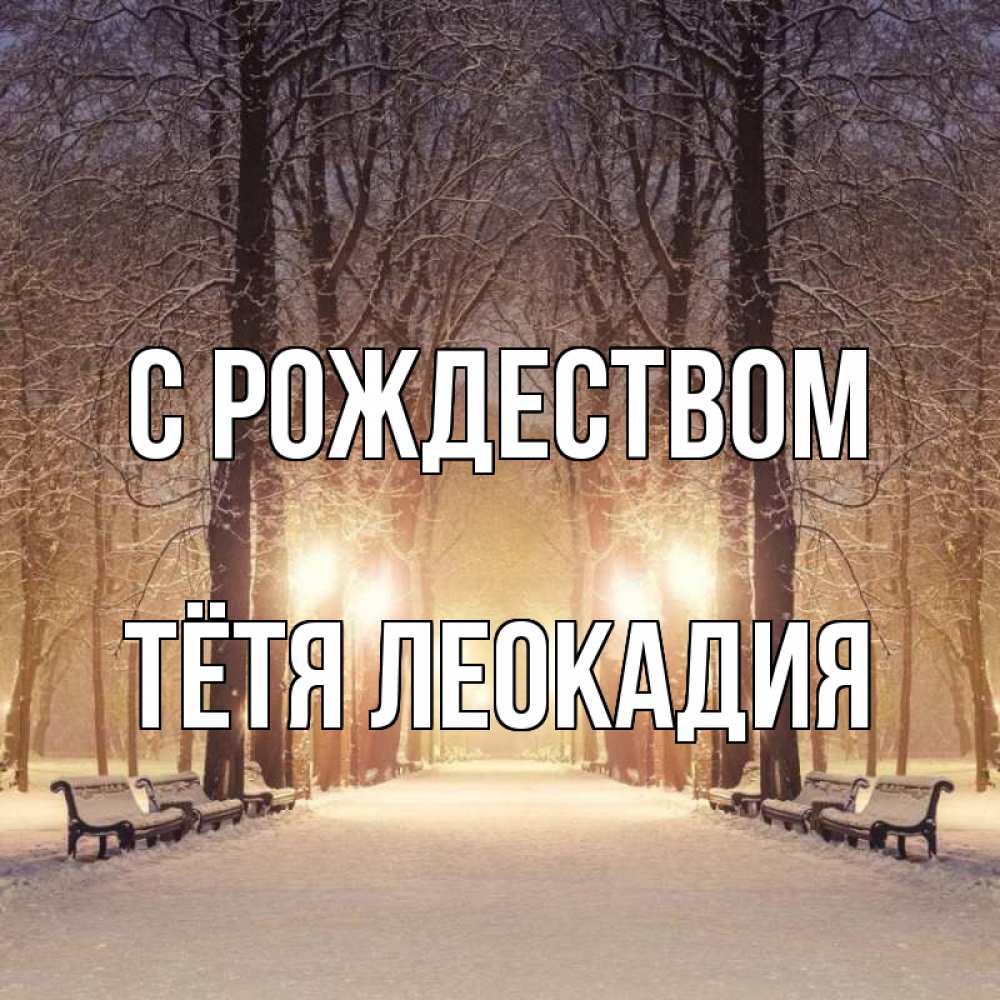 Открытка на каждый день с именем, Тётя-Леокадия С рождеством зима, парк, фонарь, лес Прикольная открытка с пожеланием онлайн скачать бесплатно 
