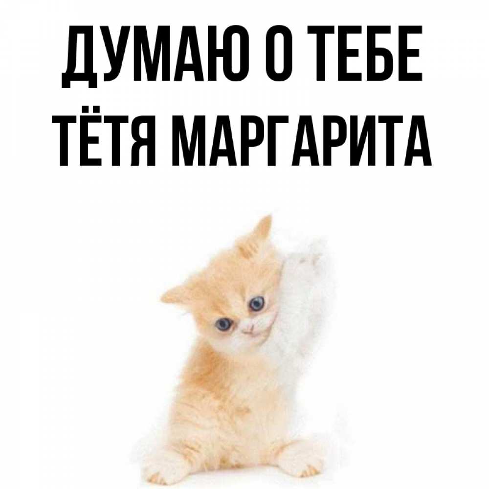 Открытка на каждый день с именем, Тётя-Маргарита Думаю о тебе зверушки и милота Прикольная открытка с пожеланием онлайн скачать бесплатно 