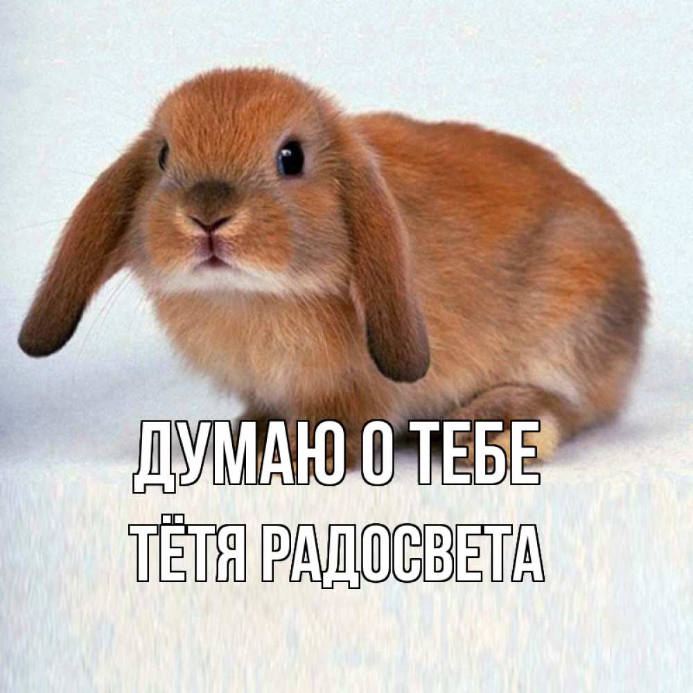 Открытка на каждый день с именем, Тётя-Радосвета Думаю о тебе кроль коричневый Прикольная открытка с пожеланием онлайн скачать бесплатно 
