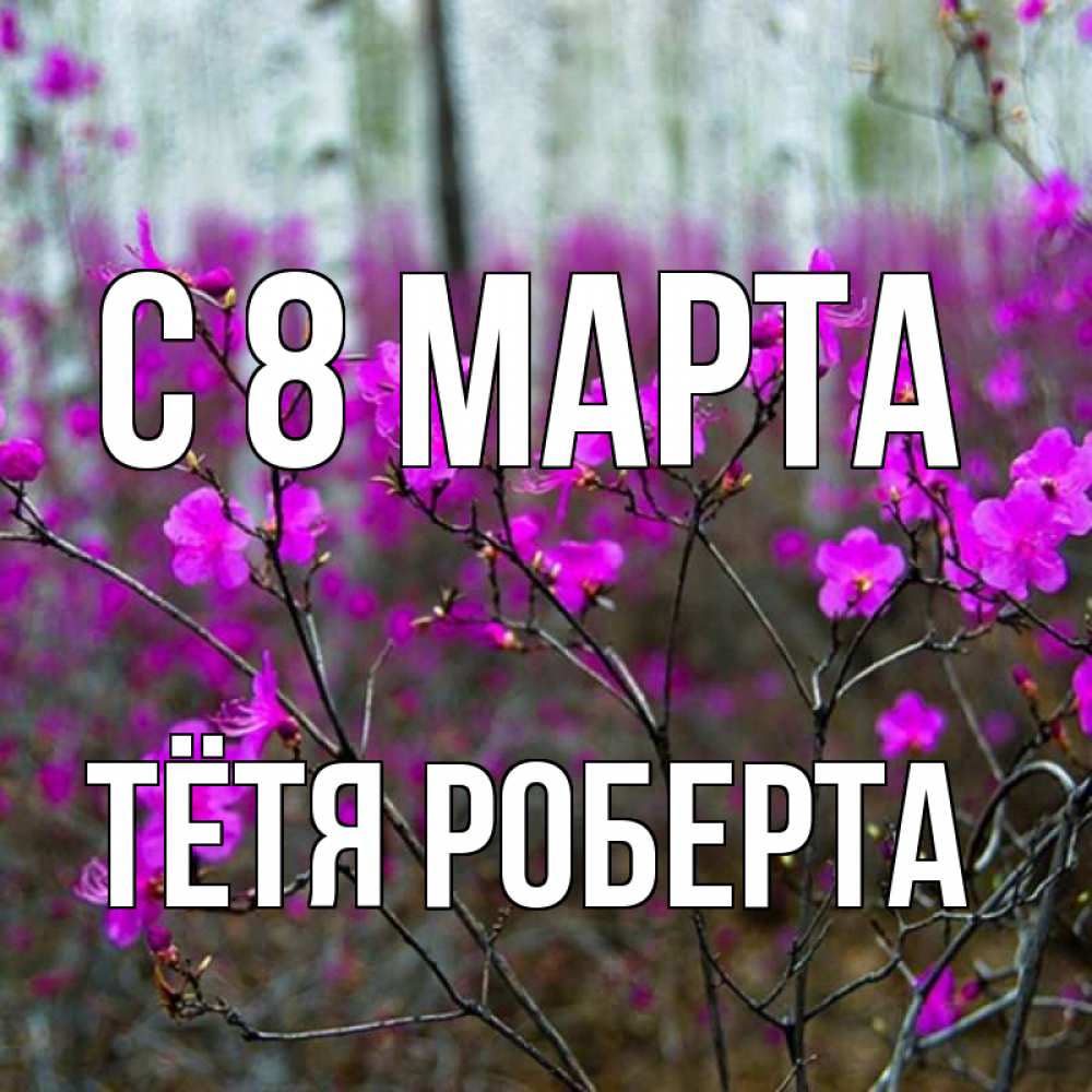 Открытка на каждый день с именем, Тётя-Роберта С 8 МАРТА дикие цветы Прикольная открытка с пожеланием онлайн скачать бесплатно 