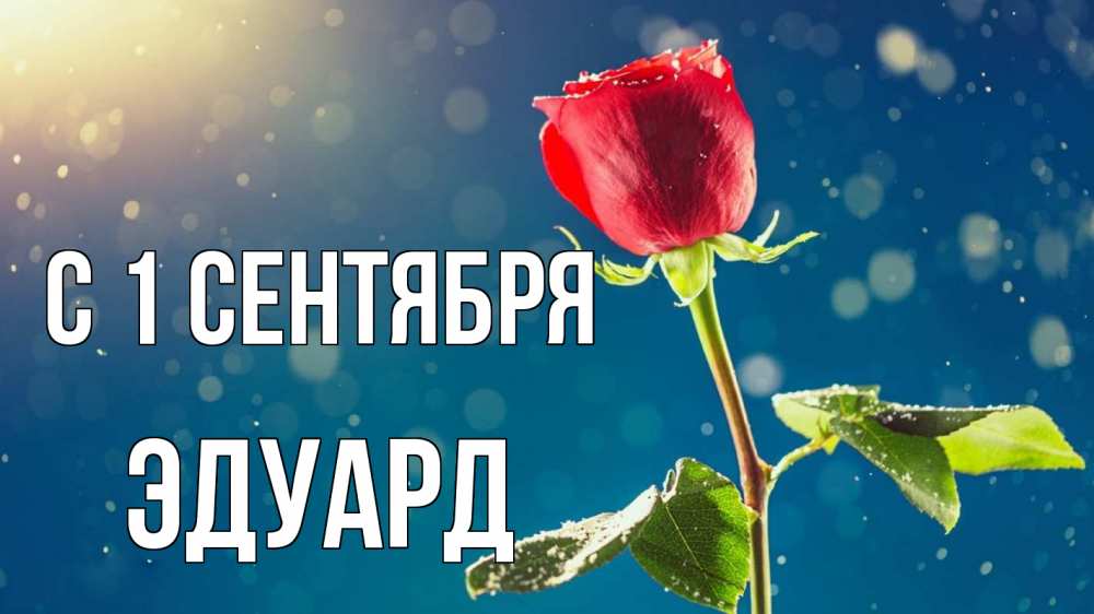 Открытка на каждый день с именем, Эдуард С 1 сентября с днем знаний Прикольная открытка с пожеланием онлайн скачать бесплатно 