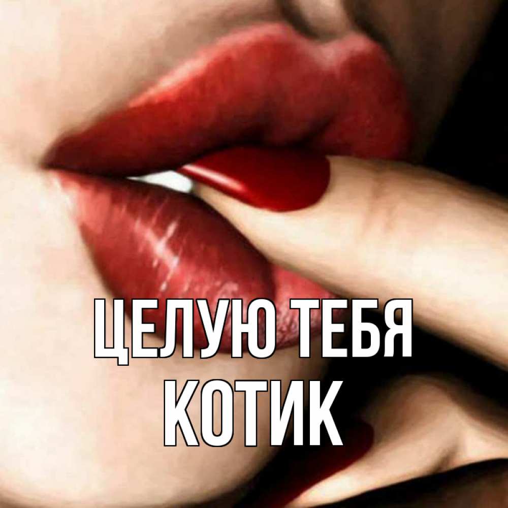 Открытка на каждый день с именем, котик Целую тебя открытка целую тебя для парня Прикольная открытка с пожеланием онлайн скачать бесплатно 