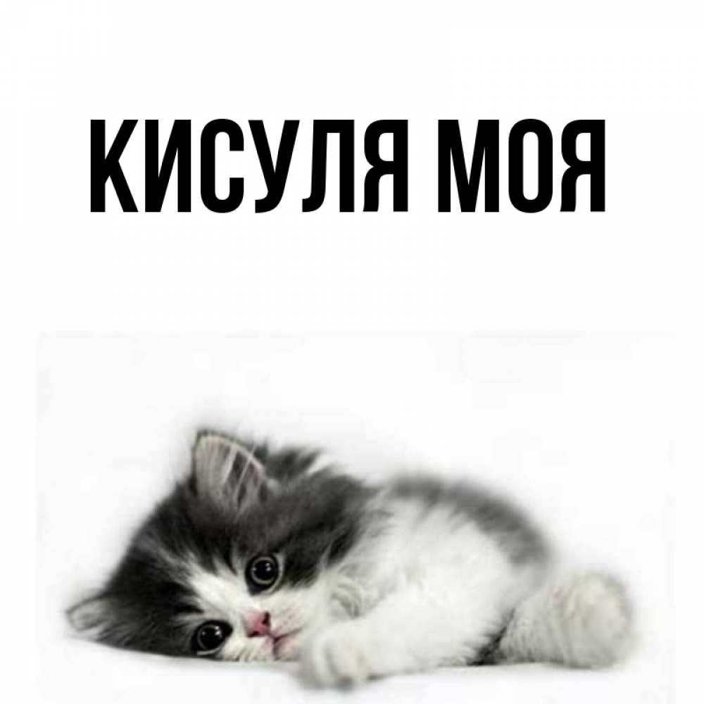 Сказки кисули презентация