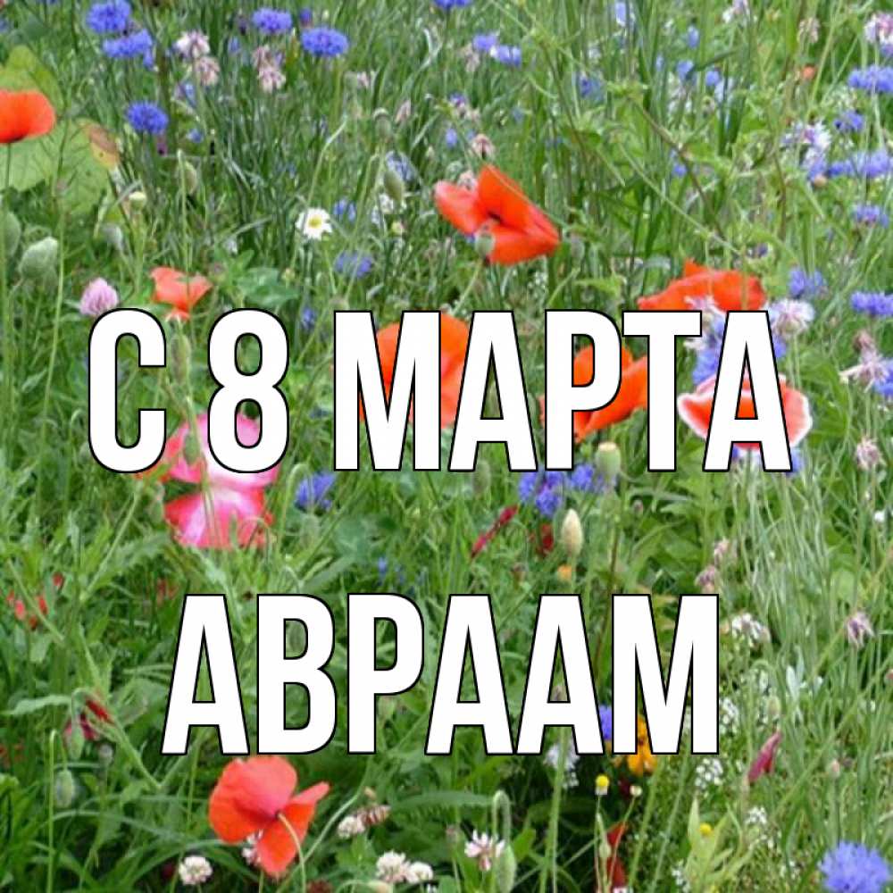 Открытка на каждый день с именем, Авраам С 8 МАРТА международный женский день 4 Прикольная открытка с пожеланием онлайн скачать бесплатно 