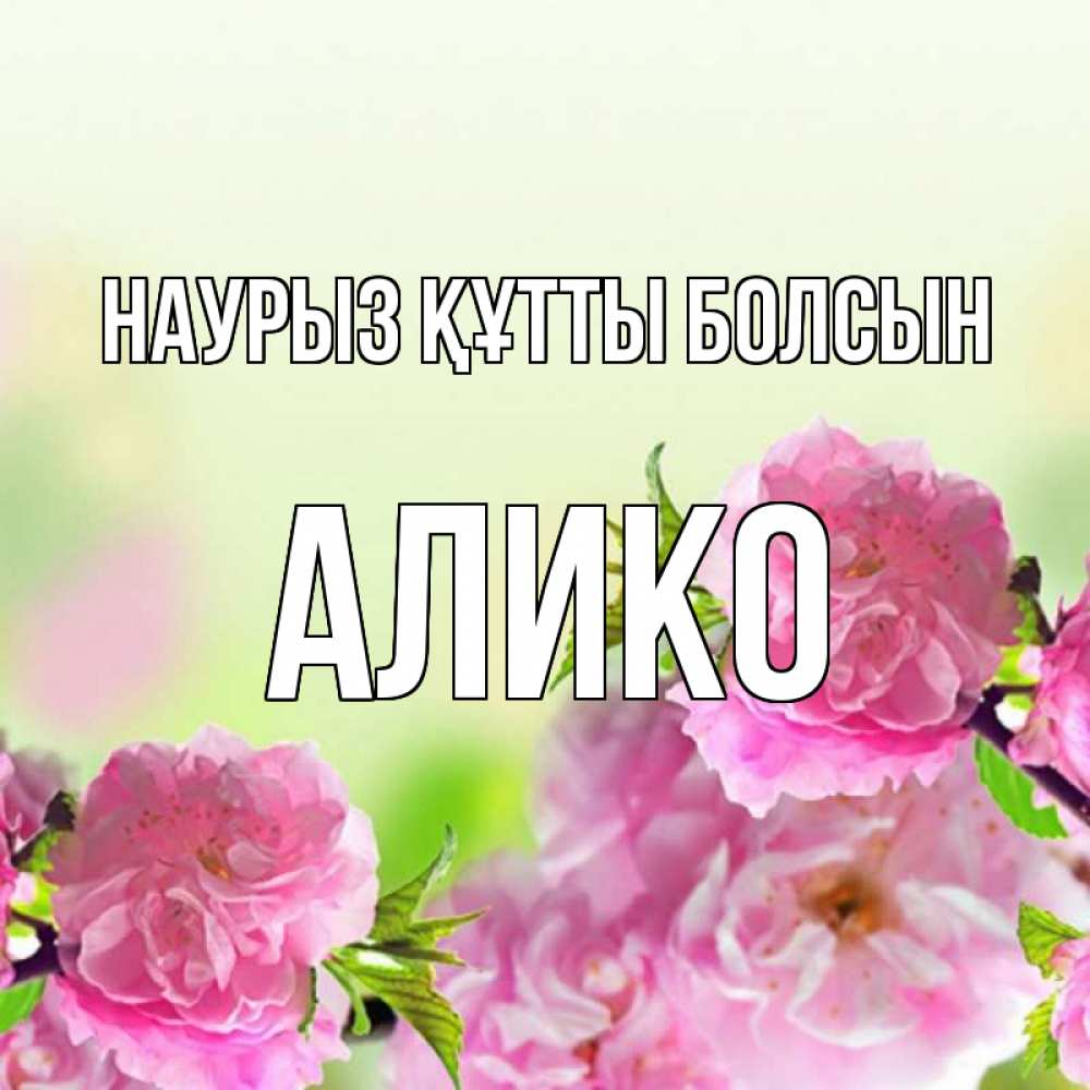 Открытка на каждый день с именем, Алико Наурыз құтты болсын цветы Прикольная открытка с пожеланием онлайн скачать бесплатно 