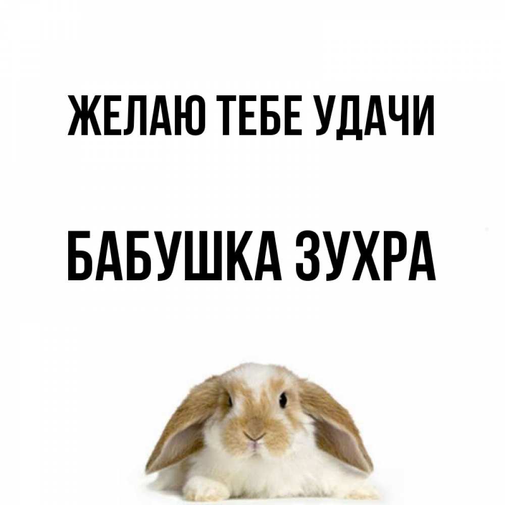 Открытка на каждый день с именем, Бабушка-Зухра Желаю тебе удачи открытки с произвольным текстом который можно вставить в открытку и создать ее самостоятельно бесплатно онлайн Прикольная открытка с пожеланием онлайн скачать бесплатно 